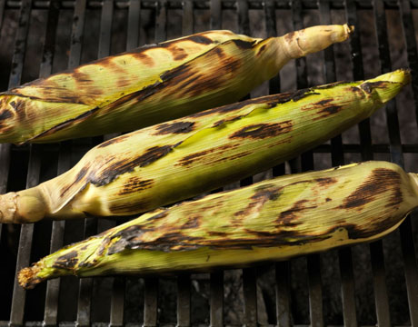 grilled corn on the cob